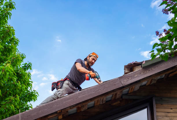 Best Roof Moss and Algae Removal  in Asbury Lake, FL